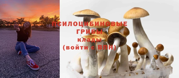 а пвп мука Алзамай