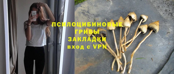 а пвп мука Алзамай