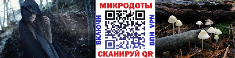KRAKEN сайт Сасово Галлюциногенные грибы MAGIC MUSHROOMS