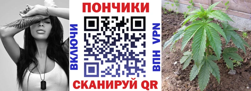 Каннабис индика маркетплейс какой сайт Сасово купить цена